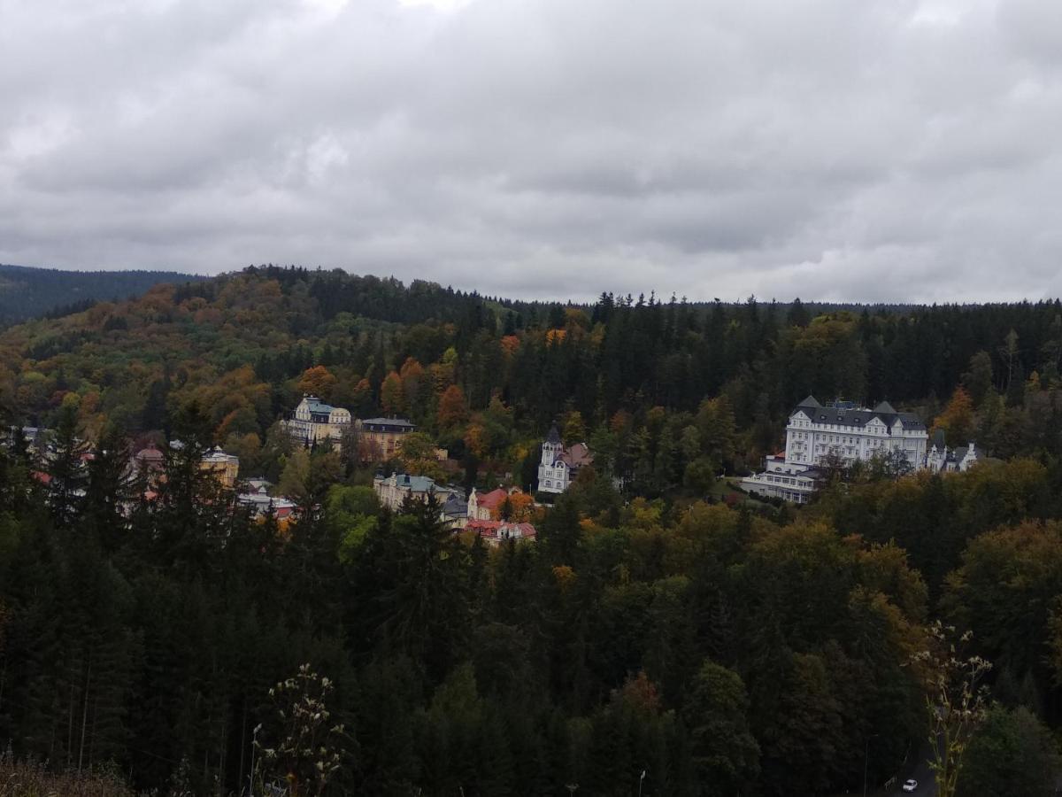 Apartman Friedrichsruh Apartment Mariánské Lázně Екстериор снимка