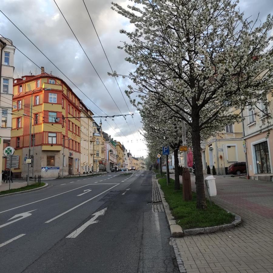 Apartman Friedrichsruh Apartment Mariánské Lázně Екстериор снимка