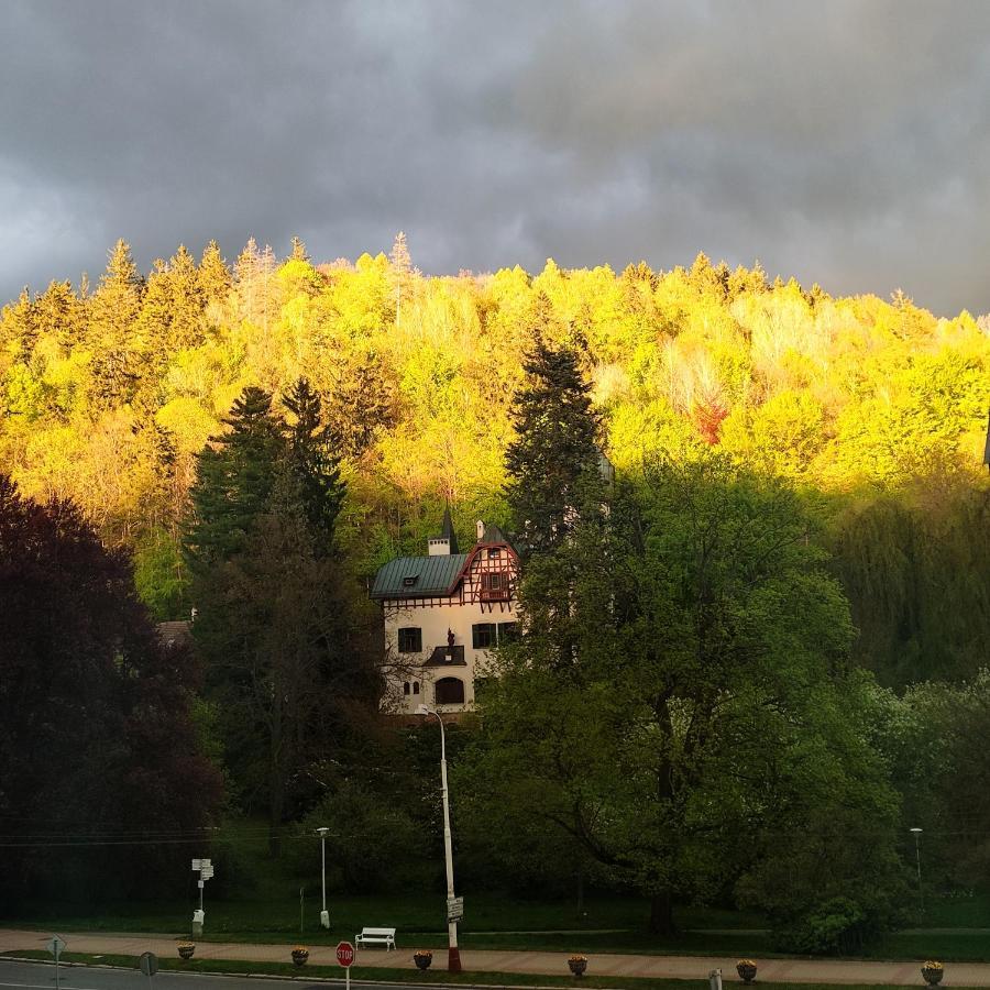 Apartman Friedrichsruh Apartment Mariánské Lázně Екстериор снимка