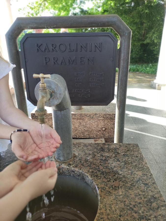 Apartman Friedrichsruh Apartment Mariánské Lázně Екстериор снимка